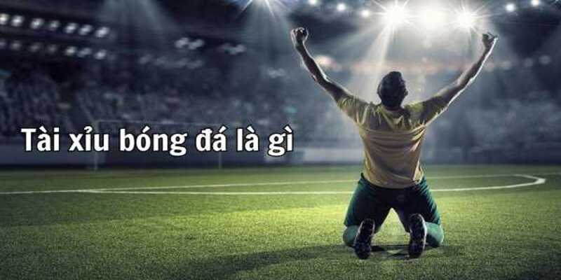 Bí quyết bắt tài xỉu trong bóng đá siêu chuẩn, thưởng lớn